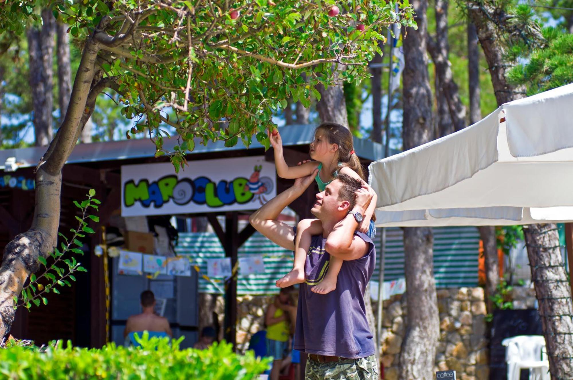 Valamar Camping Jezevac คิร์ก ภายนอก รูปภาพ